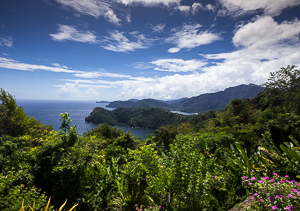 Picture 10 - View Looking North from the overlook on the way to Maracas Beach.